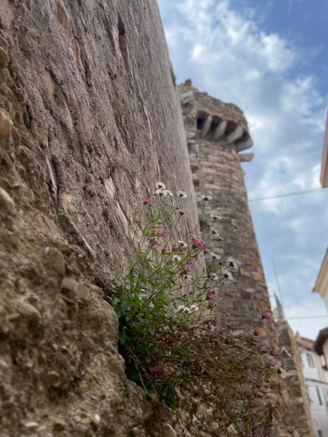 Ti Vengo A Cercare Bed & Breakfast Castellaro  Exterior foto